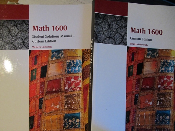 MAT1600 book.jpg