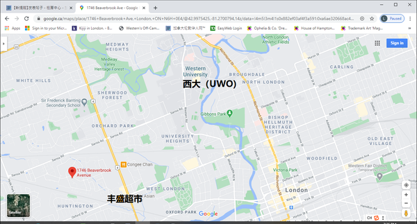 地图.png