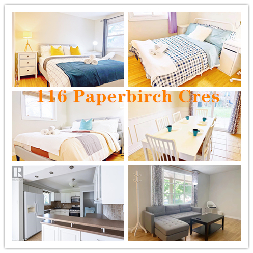 116 paperbirch1.jpg