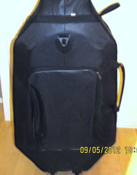 cello case (back).JPG